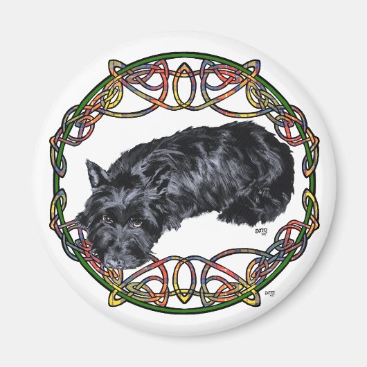 Aimant Noeud celtique Scottie au repos (Devant)