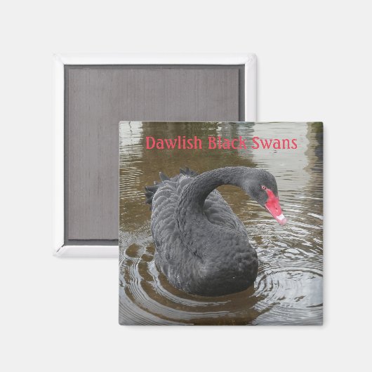 Aimant Noir de Dawlish (Recto/Verso)