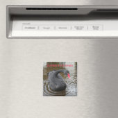 Aimant Noir de Dawlish (In Situ (Lave-vaisselle))