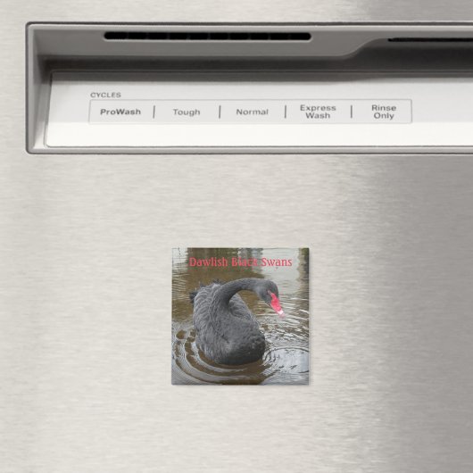 Aimant Noir de Dawlish (In Situ (Lave-vaisselle))