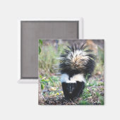 Aimant Noir et blanc (Recto/Verso)