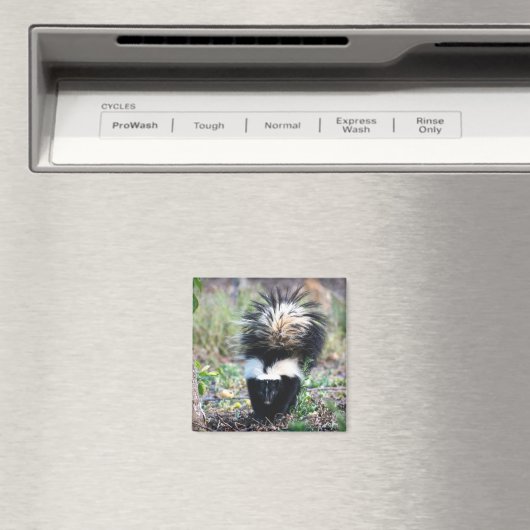 Aimant Noir et blanc (In Situ (Lave-vaisselle))