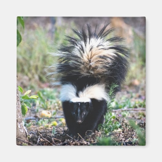 Aimant Noir et blanc (Devant)