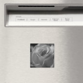 Aimant noir et blanc (In Situ (Lave-vaisselle))