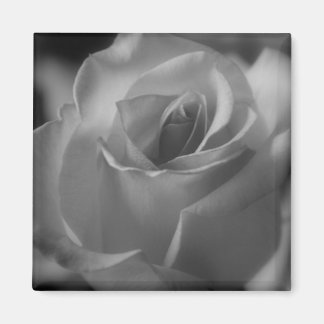 Aimant noir et blanc