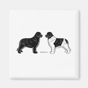 Aimant Noir et chiens de Landseer Terre-Neuve