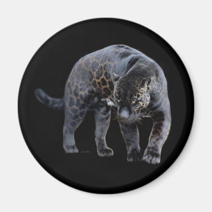 Aimant noir Jaguar Diablo