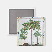 Aimant Noisier Bush et cerisier (Recto/Verso)