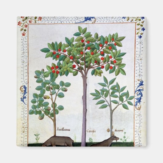 Aimant Noisier Bush et cerisier (Devant)