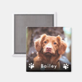 Aimant Nom de la photo de l'animal (Recto/Verso)