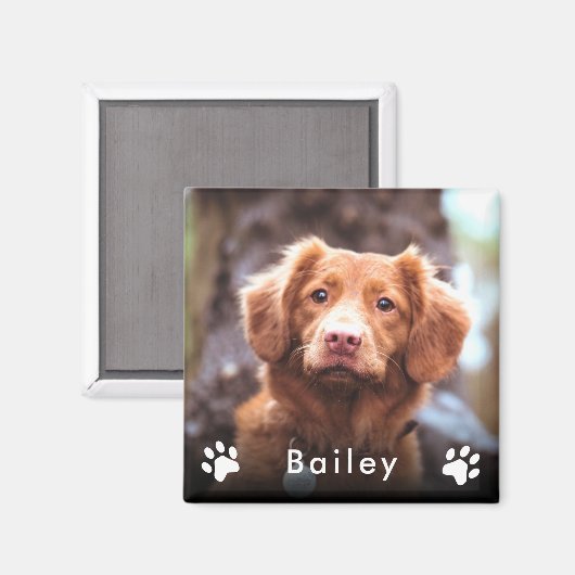 Aimant Nom de la photo de l'animal (Recto/Verso)