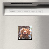 Aimant Nom de la photo de l'animal (In Situ (Lave-vaisselle))