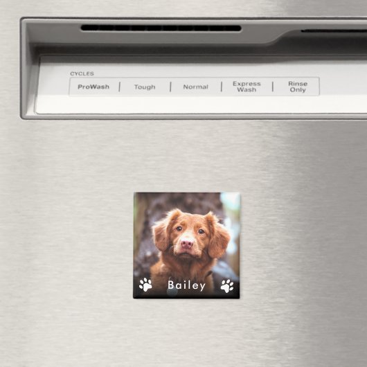 Aimant Nom de la photo de l'animal (In Situ (Lave-vaisselle))