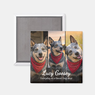 Aimant Nom de photo de chien Citation mignonne