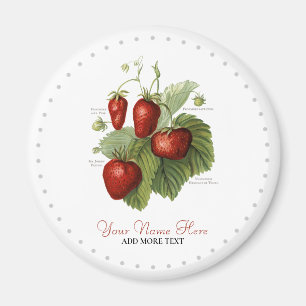 Aimant Nom des variétés de fraises Vintages mignonnes