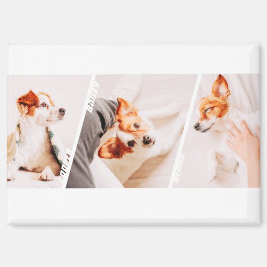 Aimant Noms de 3 photos modernes Cool Collage Multi Propr (Recto)