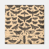 Aimant non défini (Devant)