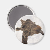 Aimant non défini (Recto/Verso)