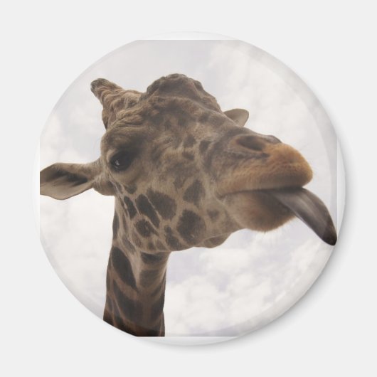 Aimant non défini (Devant)