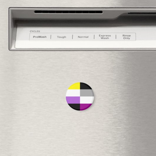 Aimant Nonbinary Asexual Dual Pride Flag (In Situ (Lave-vaisselle))