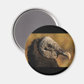 Aimant Nooks & Crannies (Recto/Verso)