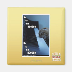 Aimant Nooom de Na de Na de Na