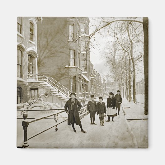 AIMANT NORTH LINCOLN PARK CHICAGO W. OF MENOMINEE 1890 (Devant)