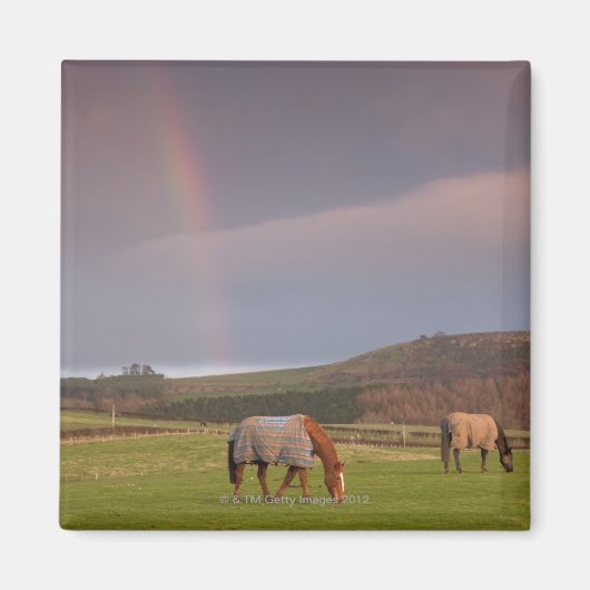 Aimant Northumberland, Angleterre (Devant)