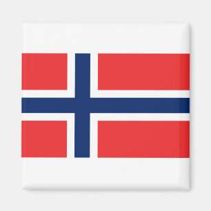 Aimant Norway Flag