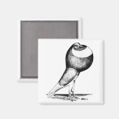 Aimant Norwich Cropper 1980 (Recto/Verso)