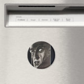 Aimant Nosferatu (In Situ (Lave-vaisselle))