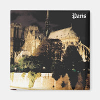 Notre Dame la nuit. Paris, France.
