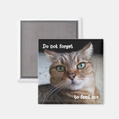 Aimant N'oubliez pas de nourrir un chat (Recto/Verso)
