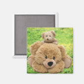 Aimant Nounours mignons dans un pré (Recto/Verso)