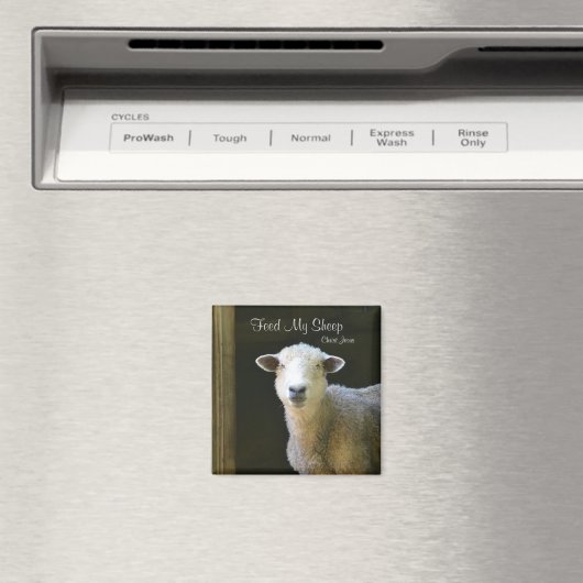 Aimant Nourrir mes moutons (In Situ (Lave-vaisselle))