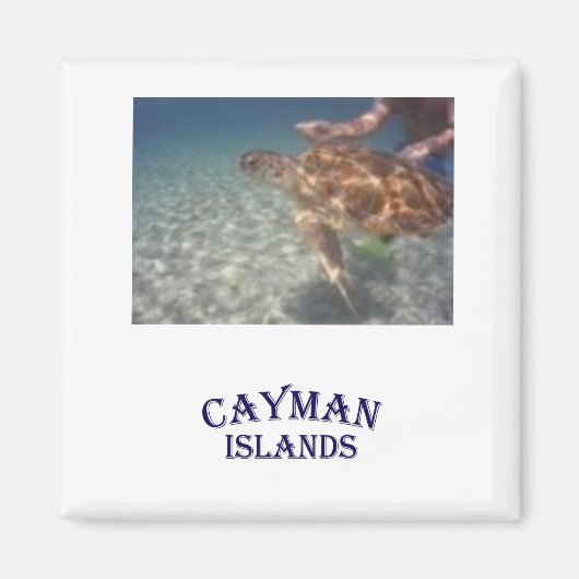 Aimant Nourrir une tortue (Devant)