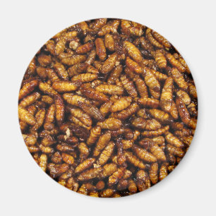 Aimant Nourriture thaïlandaise frite de rue de vers à