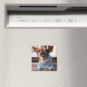 AIMANT NOUVEAU HUMOUR JERSEY CHIHUAHUA FRIDGE (In Situ (Lave-vaisselle))