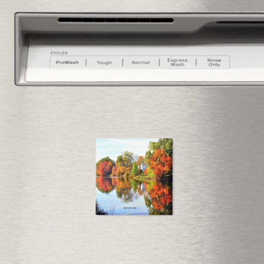 AIMANT NOUVELLE-ANGLETERRE (In Situ (Lave-vaisselle))