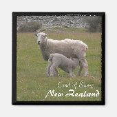 Aimant Nouvelle-Zélande, Alimentation d'agneau no 2 (aima (Devant)