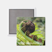 Aimant Nouvelle-Zélande, feuille de fougères coniques (Fr (Recto/Verso)