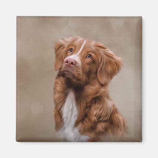 Aimant Nova Scotia Duck Tolling Retriever dog (Devant)