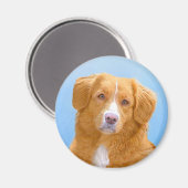 Aimant Nova Scotia Duck Tolling Retriever Dog Painting (Recto/Verso)