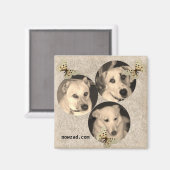 Aimant Nowzad Secourir l'aimant des chiens (Recto/Verso)