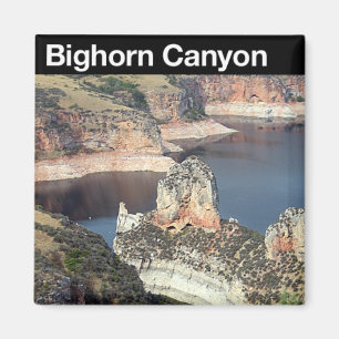 Aimant NRA de canyon de Bighorn