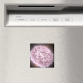 Aimant Nuage De Débris De Deux Étoiles Neutrons (In Situ (Lave-vaisselle))