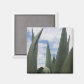 Aimant Nuages Agave (Recto/Verso)