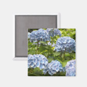 Aimant Nuances de Blue Hydrangeas (Recto/Verso)
