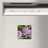 Aimant Nuances de l'hydrangée violette (In Situ (Lave-vaisselle))