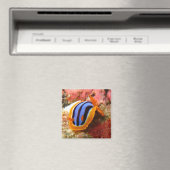 aimant nudibranche - 2 (In Situ (Lave-vaisselle))